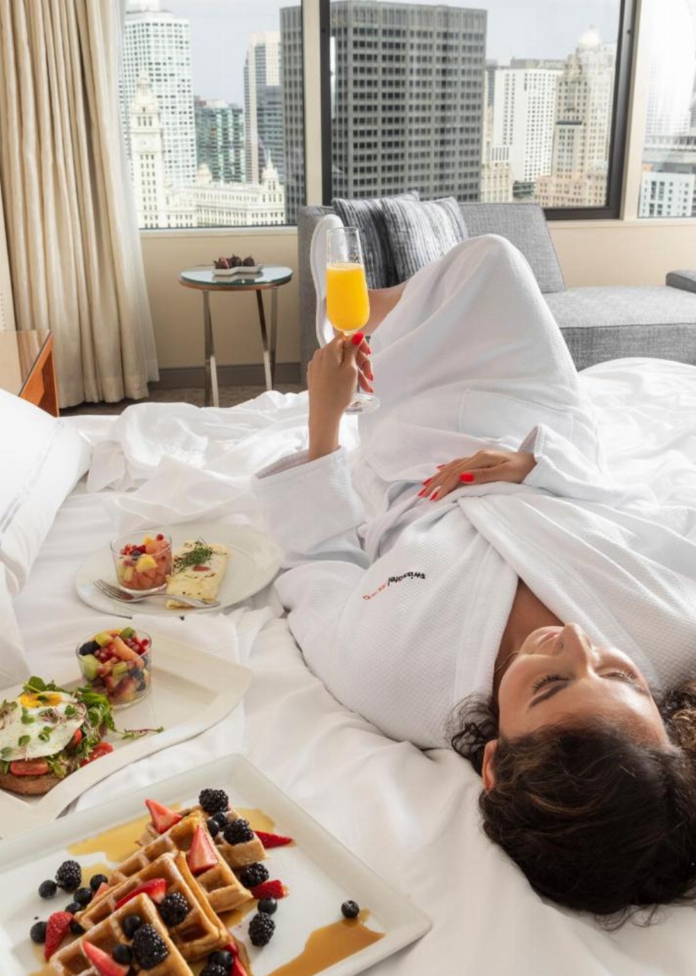 Swissotel Chicago Imagen 54